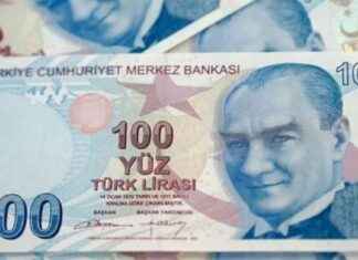 How to Apply for VGM Scholarship 2024: Application Process and Requirements news-16092024-145713