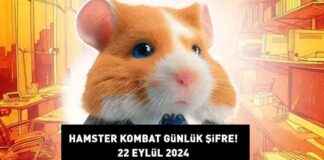 Hamster Kombat Daily Code 22 September 2024: Combo Cards (How to Open, Find, and Create Detailed Guide) news-22092024-043009