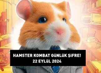 Hamster Kombat Daily Code 22 September 2024: Combo Cards (How to Open, Find, and Create Detailed Guide) news-22092024-043009