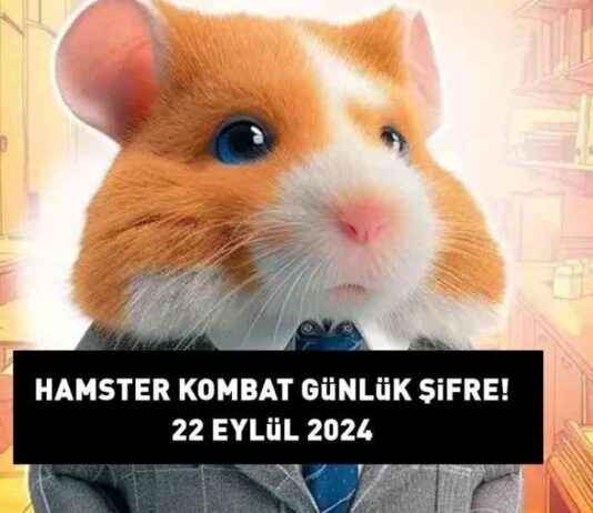 Hamster Kombat Daily Code 22 September 2024: Combo Cards (How to Open, Find, and Create Detailed Guide) news-22092024-043009