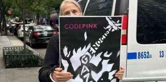 Palestine Protests in New York City where BM Headquarters is Located. news-26092024-063250