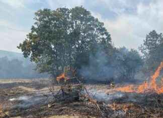 Fire in Zeytinlik spreads to the forest – Sözcü Newspaper news-05102024-162354