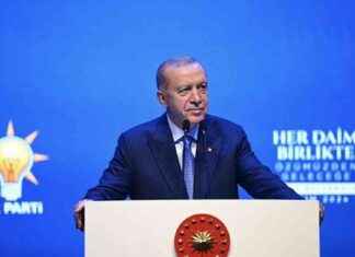 President Erdogan Calls for an End to Netanyahu and His Gang: Latest Updates news-06102024-042453