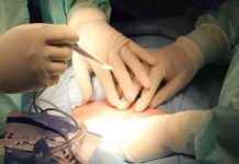 Father’s Kidney Became Hope for His 7-Year-Old Daughter – Sözcü Newspaper news-07102024-103859