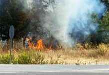 Firefighters Responding to Alarming Fire in Foça – Sözcü Newspaper news-15102024-153338