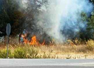 Firefighters Responding to Alarming Fire in Foça – Sözcü Newspaper news-15102024-153338