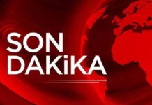 news-16102024-095056