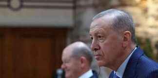 President Erdogan: Region Will Not Find Peace If Israel is Not Stopped news-19102024-170844