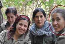 Breaking News: Turkish National Intelligence Agency launches operation in northern Iraq. news-20102024-111439