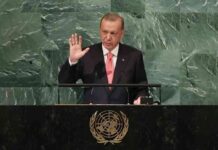 news-25102024-003304