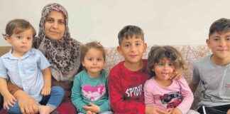 Beautiful Home Renovation: Tips and Ideas for a Stunning Space news-27102024-072015