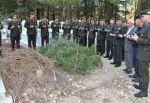 Mehmetçik’s Return: Remembering Teyze SEO-friendly Title news-11112024-091304