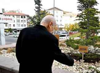 We Are Brothers: Trees Planted in Front of MHP Headquarters news-11112024-212010