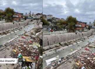 Outrage in Ataşehir: Residents React to Controversial Scene in Istanbul- 88 characters news-16112024-185900