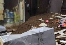 news-19112024-132147