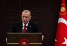 President Erdogan Announces Broadening of Auditing in Public Sector after Cabinet Meeting news-25112024-230159