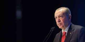 President Erdogan Sends Video Message to Gaza Summit in Istanbul: Islamic World Must Unite in Strength news-29112024-114021