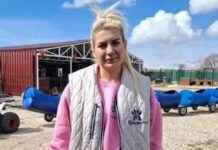 Investigation Launched into Patiler Association: Buket Özgünlü Arrested news-29112024-114044