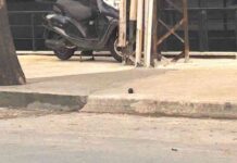 bomb-found-on-sidewalk-in-beylikdz-szc-newspaper
