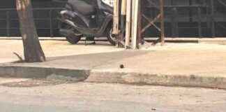 Bomb Found on Sidewalk in Beylikdüzü – Sözcü Newspaper bomb-found-on-sidewalk-in-beylikdz-szc-newspaper