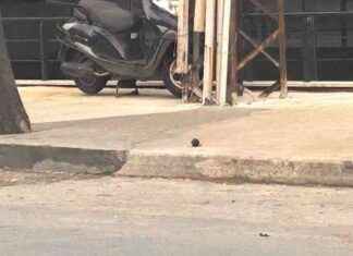 Bomb Found on Sidewalk in Beylikdüzü – Sözcü Newspaper bomb-found-on-sidewalk-in-beylikdz-szc-newspaper