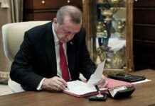 New Ambassadors Appointed to Five Countries new-ambassadors-appointed-to-five-countries