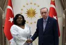 President Erdoğan Meets with Sierra Leone Ambassador Anderson president-erdoan-meets-with-sierra-leone-ambassador-anderson