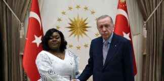 President Erdoğan Meets with Sierra Leone Ambassador Anderson president-erdoan-meets-with-sierra-leone-ambassador-anderson