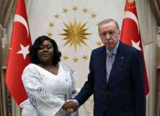 President Erdoğan Meets with Sierra Leone Ambassador Anderson president-erdoan-meets-with-sierra-leone-ambassador-anderson