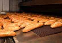 Food Safety Inspections in Bornova Continues Vigorously for Food Safety food-safety-nspections-in-bornova-continues-vigorously-for-food-safety