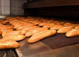 Food Safety Inspections in Bornova Continues Vigorously for Food Safety food-safety-nspections-in-bornova-continues-vigorously-for-food-safety