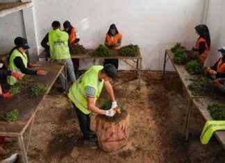 Miray’s Triumph in İzmir: Overcoming Doctors’ Objections, Became Turkey Champion mirays-triumph-in-izmir-overcoming-doctors-objections-became-turkey-champion