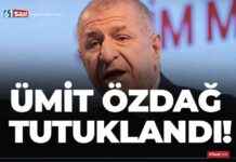 mit-zda-arrested-latest-updates-and-nformation