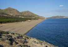 Zeytinliköy in Gökçeada: Legendary Address of Dibek Coffee zeytinliky-in-gkeada-legendary-address-of-dibek-coffee