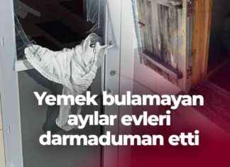 Ayıların Yemek Arayışında Yaptığı Hasarları Düzeltmek – Ayıların Evi Nasıl Yıkar? aylarn-yemek-araynda-yapt-hasarlar-dzeltmek-aylarn-evi-nasl-ykar