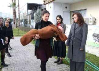 Karşıyaka Belediyesi: Başkan Ünsal ve Çocuklar Deprem Tatbikatında Buluştu karyaka-belediyesi-bakan-nsal-ve-ocuklar-deprem-tatbikatnda-bulutu