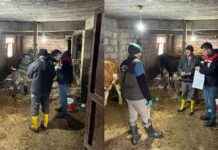 Protecting Livestock: Quarantine Measures Implemented for Contagious Disease protecting-livestock-quarantine-measures-mplemented-for-contagious-disease