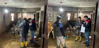 Protecting Livestock: Quarantine Measures Implemented for Contagious Disease protecting-livestock-quarantine-measures-mplemented-for-contagious-disease