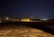 baby-tragically-killed-by-stray-dog-in-konya-latest-breaking-news