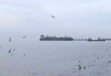 cargo-ship-runs-aground-in-bakrky-causing-chaos
