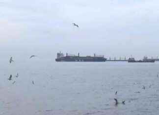 Cargo ship runs aground in Bakırköy, causing chaos cargo-ship-runs-aground-in-bakrky-causing-chaos