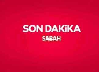 Investigation Launched into Recent Stray Dog Attacks nvestigation-launched-into-recent-stray-dog-attacks