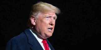 Trump announces potential ceasefire with Russia in latest statement trump-announces-potential-ceasefire-with-russia-in-latest-statement