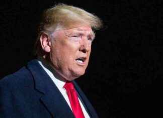 Trump announces potential ceasefire with Russia in latest statement trump-announces-potential-ceasefire-with-russia-in-latest-statement