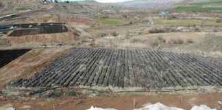 Turkey’s Siirt Becomes Center for Pistachio Production turkeys-siirt-becomes-center-for-pistachio-production