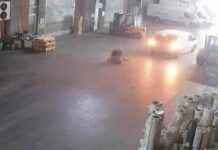 Car Hits Pedestrian in Başakşehir While Reversing! Caught on Camera Moment by Moment car-hits-pedestrian-in-baakehir-while-reversing-caught-on-camera-moment-by-moment