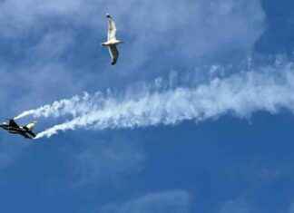 SoloTürk mesmerizes in Ordu! Latest News on CNN Türk solotrk-mesmerizes-in-ordu-latest-news-on-cnn-trk