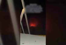 srael-shoots-peace-activists-global-news