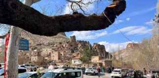 The Rise of a Small Neighborhood with a New Governor: From 400 Residents to a Tourist Hotspot the-rise-of-a-small-neighborhood-with-a-new-governor-from-400-residents-to-a-tourist-hotspot