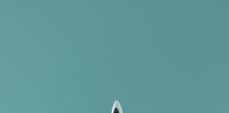 Delta Flight DL275 Diverted LAX: What Caused This Unexpected Change? Delta Flight DL275 diverted, DL275 LAX diversion, Delta emergency landing LAX, DL275 flight update, Delta diverted flight news, DL275 incident report